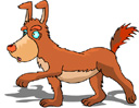 alert dog with no anxiety