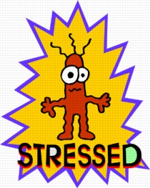 stressed2.jpg