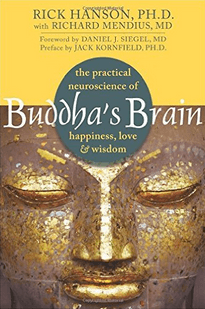 Rick Hansen's Buddha Brain