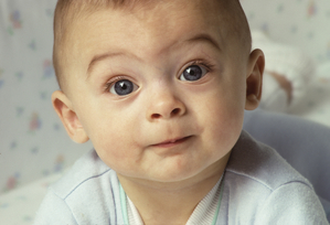 early life shapes brain