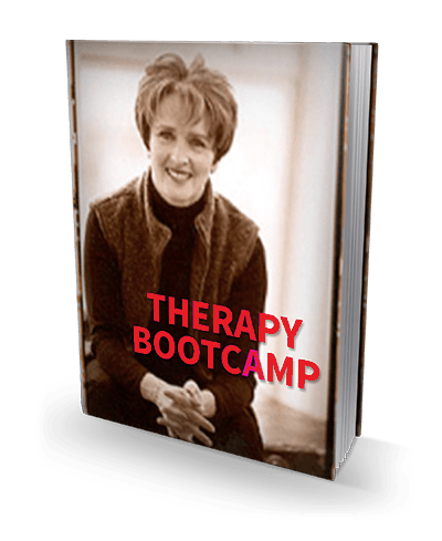 Therapy Bootcamp (imaginal) book cover.