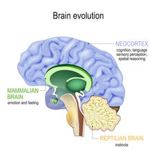 Freezing up emotionally occurs when your nervous system is traumatized