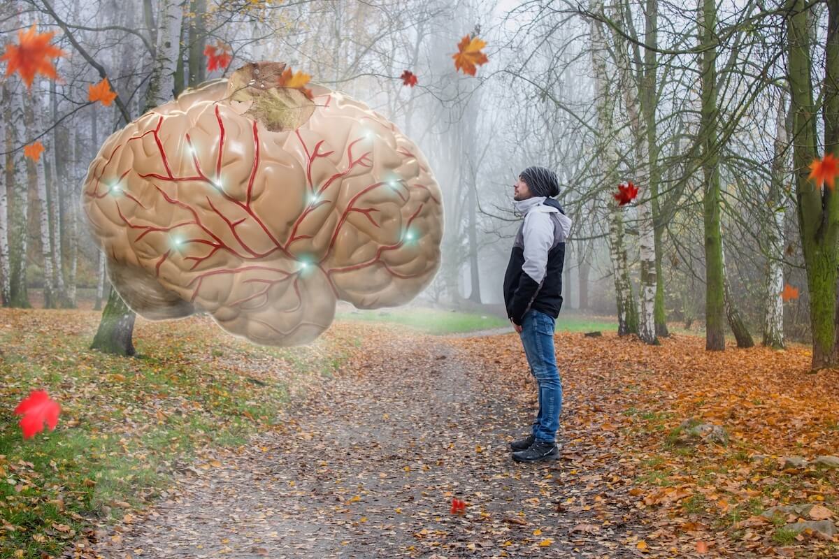 a surreal photo of a man in the woods looking up at a large floating brain 