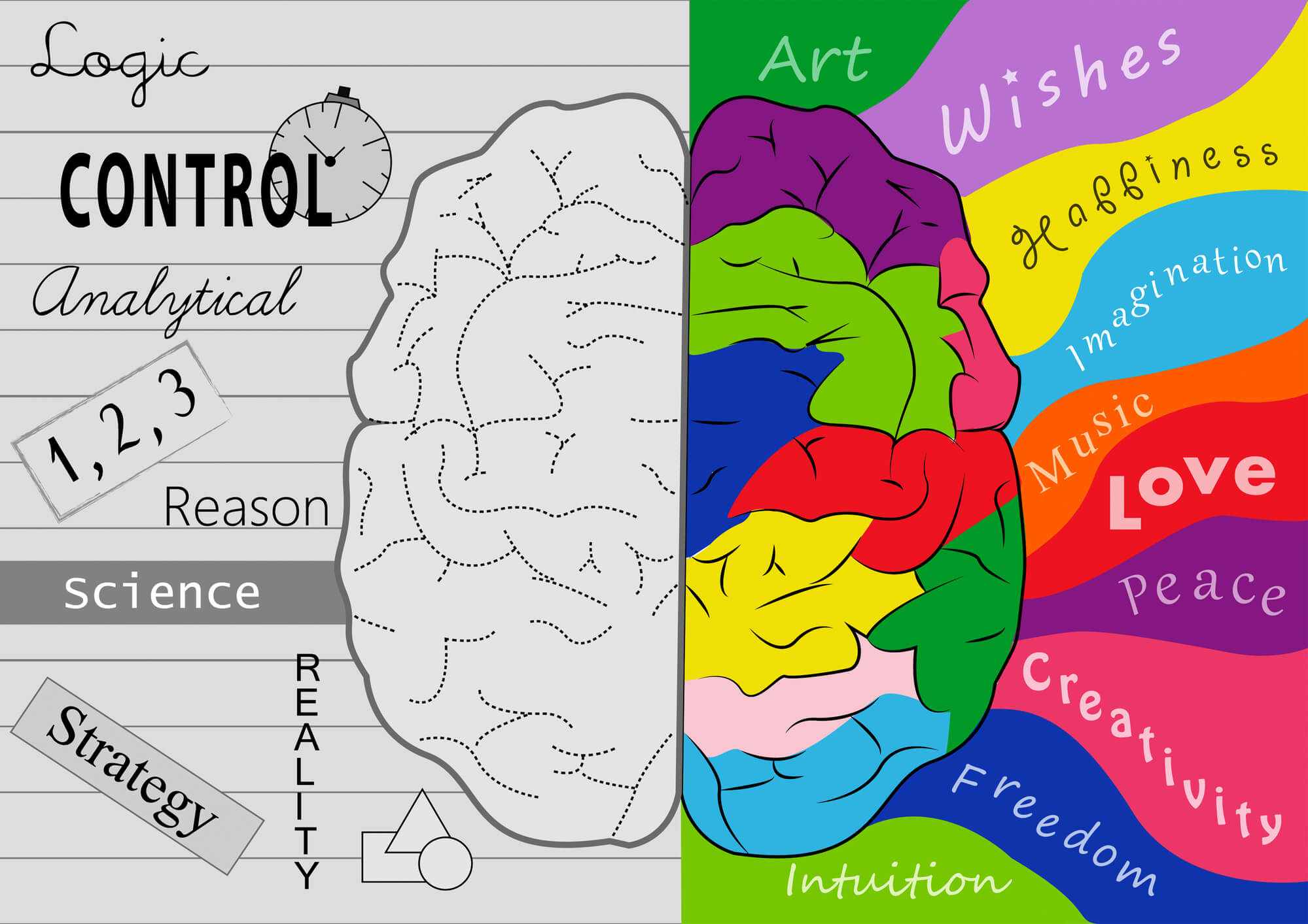 illustration of left and right brain skillset to show how one might deal with transference