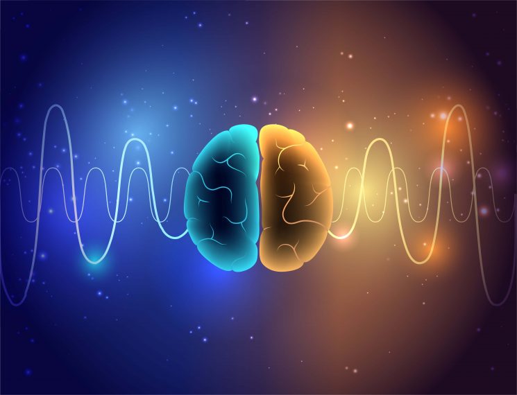 neurofeedback vector showing brain waves in two hemispheres of the brain